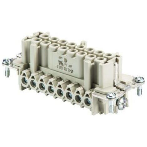 Wieland Electric 70.300.1640.0 Insert femelle BAS Nombre total de pôles 16 + PE 1 pc(s) (1/3)