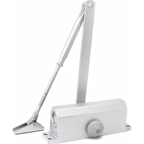 Ferme porte automatique, à ressort, avec fonction de verrouillage, pour porte intérieure et extérieure, 4060kg, Argent (1/5)