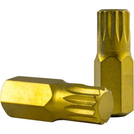 Punta Torx JBM heavy duty 30 mm M12 alta capacità di torsione resistente alla corrosione