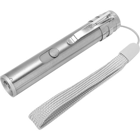 Stylo interactif lumineux rechargeable USB en acier inoxydable pour chiens et chats (1/5)