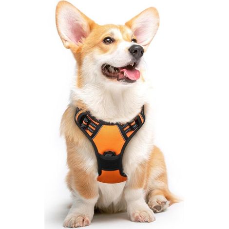 Harnais pour chien de taille moyenne avec bandes réfléchissantes et poignées de contrôle, réglable et confortable pour la marche (1/5)