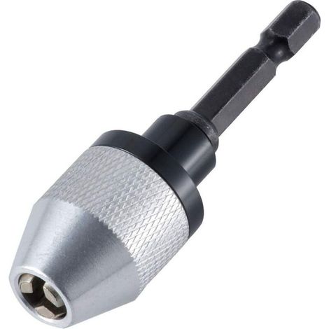 Mandrin à changement rapide pour perceuse sans clé avec tige hexagonale de 0,3–6,5 mm (1/5)