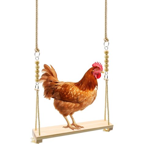 Balançoire jouet pour poules, balançoire de repos suspendue en bois naturel décorée de perles, perchoir d’enrichissement pour poules, coqs, volailles de jardin, perroquets et oiseaux de compagnie de t (1/5)