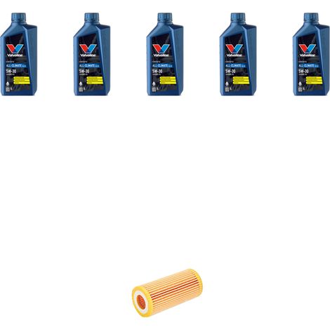 Kit filtro olio e 5L compatibile con Audi A3 II (8P1,8PA) 2.0 tfsi 147kw dal 2004 (1/2)