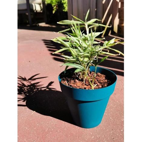 Maceta Riviera Azul Ø 55 cm (1/2)