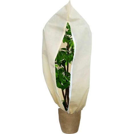 Couverture végétale non tissée 120x180cm protection plantes (1/5)