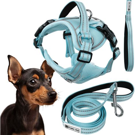GUINZAGLIO E PETTORINA PER CANE TUTUMI PJ-054 S BLUE