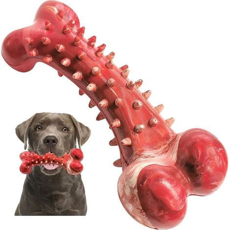 Jouets pour chiens, brosse à dents à mâcher en forme d'os, brosse à dents en caoutchouc durable (1/5)