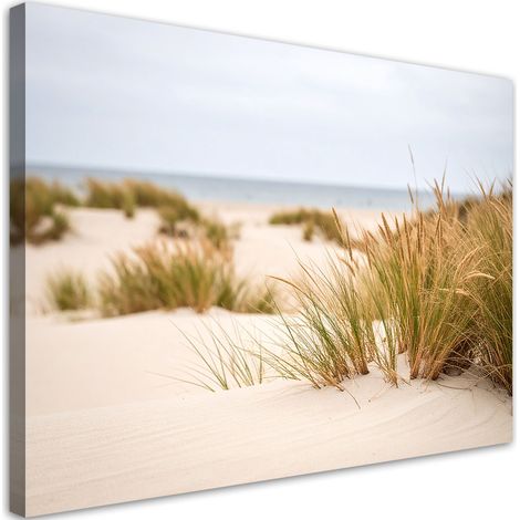 Wandbild Strand Meer Pflanzen Dünen Natur 60x40 cm (1/5)