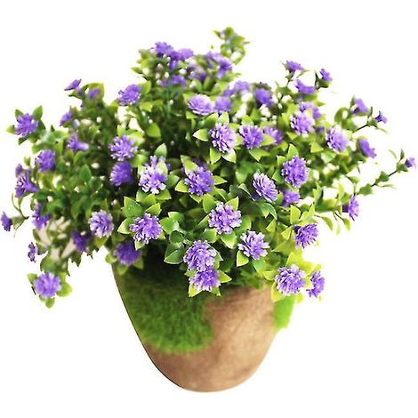 1 petite plante décorative