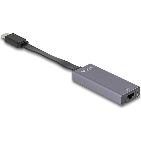 66248 DeLock Adaptateur USB Type-C vers RJ-45 2.5 Gbps - Adaptateur USB-C 3.0 vers RJ45 2.5 Gbps - 9 cm