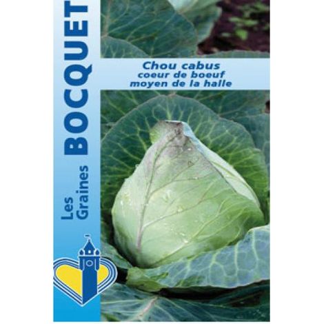 Chou cabus 'Coeur de boeuf moyen de la halle' le sachet de 600 graines (3g) (1/2)