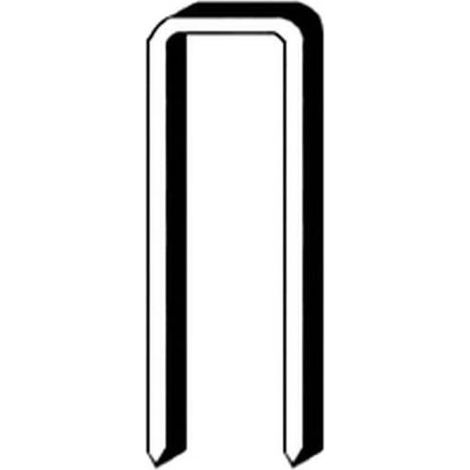 10 000 Agrafes H-25 - Galvanisées - 8.6x25x1x1.25 mm - D-Work (1/3)