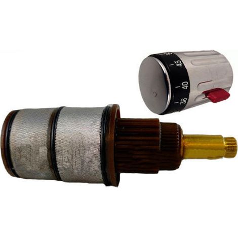 Ricambio cartuccia termostatica Albatros revita box doccia 4R22088999 (1/2)