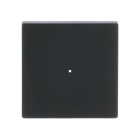 Busch-Jaeger Tecla simple negro mate - Plataforma 63 (6230-10-885), 2CKA006220A0498 (1/4)