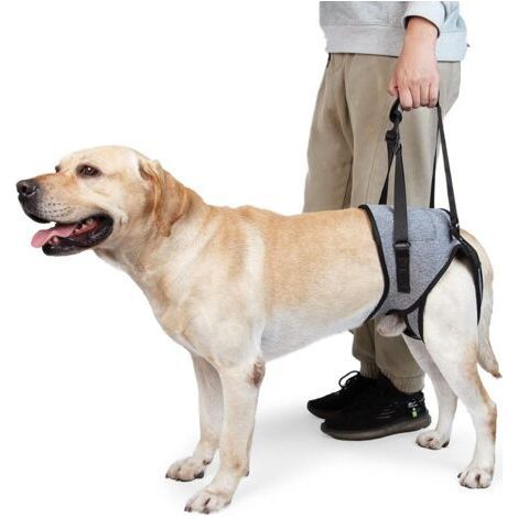 LAN Hunde-Hebegeschirr – Hinterbeinstützgeschirr – Weiche Stützschlinge für kleine, mittlere und große verletzte Hunde (XL, Grau) (1/5)