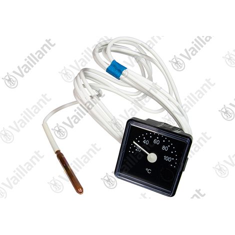 Vaillant Thermometer