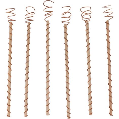 6 Pièces Piquets Électroculture Antennes Jardin Bobine Cuivre pour Croissance Plantes Légumes (1/5)