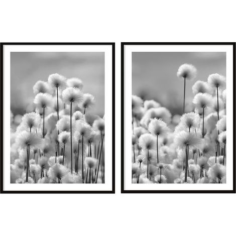 BILDPOSTER IM RAHMEN 53x73cm Diptychon 2er-Set Gemälde Pusteblumen Boho P2074 (1/3)