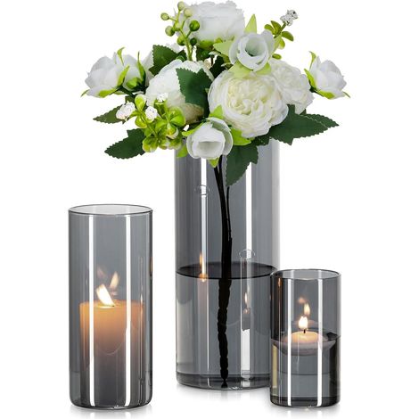 Vase Cylindrique en Verre Gris : 3pcs Vases à Fleurs Modernes pour Centre De Table - Porte-Bougies DéCoratifs en Forme D'Ouragan Vase à Tulipes en Herbe De La Pampa pour Fleurs (10/15/20cm) (1/5)