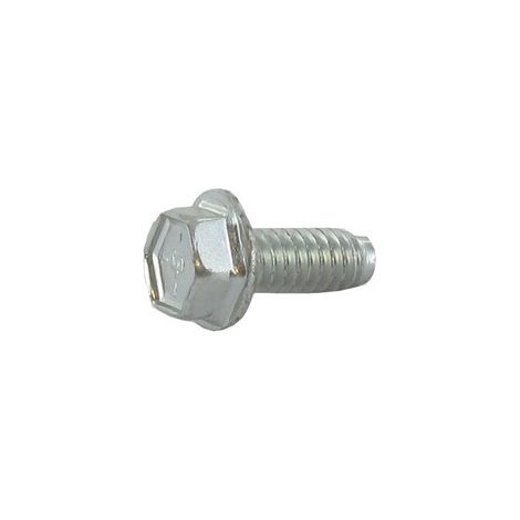 Schraube für 6 x 15 mm BRIGGS ET STRATTON 691108