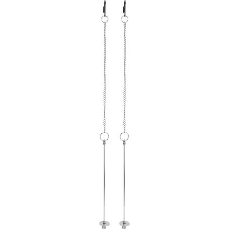 fourchettes à fruits, légumes et maïs en acier inoxydable pour coqs, outil de recherche de nourriture pour animaux de compagnie (1/5)