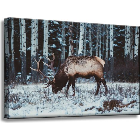 Leinwanddruck Tiere Kanadischer Hirsch 60x40