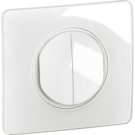 Legrand – Interrupteur va-et-vient double blanc – Connectique rapide – Plaque de finition incluse – Pour installation en intérieur (1/2)