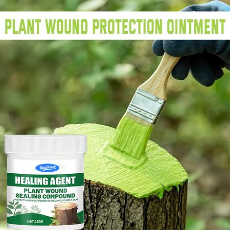 KineShineX Plant Wound Healer: Apply to cuts on fruit trees, green plants, potted plants, and cut flowers to promote healing and growth. (1/5)