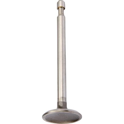 Soupape d'admission pour BRIGGS ET STRATTON 590393 (1/2)