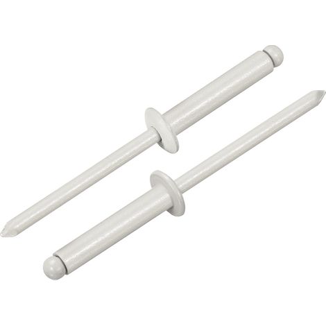 100 Pièces 4 x 20 mm Rivets Aveugles En Aluminium Prise En Aluminium Et Mandrin En Acier, Rivets Fendus à Tête Bombée Pour Métal, Meubles, Automobile, Gris (1/5)