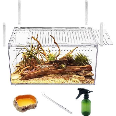 Reptilien-Terrarium, kein Aufbau erforderlich, Magnetverschluss, transparentes Acrylglas, stapelbar für Schlangen und Echsen (1/5)