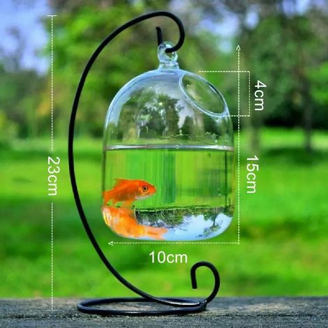 Kreatives Hängeaquarium aus Glas, handgefertigtes Klarglasaquarium, Wohnaccessoire (1/5)