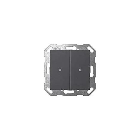 Gira Tecla balancín 2f OneKNX System 55 Antracita [517328], 5173 28
