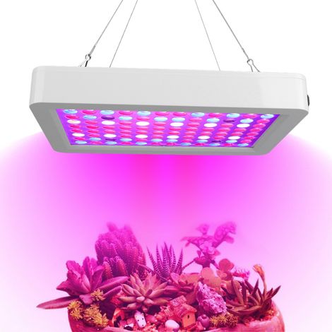 Intelligente Hochleistungs-Pflanzenlampe (100–277 V, AC) für Sukkulenten im Gewächshaus – Kompaktes Modell gemäß europäischen Normen – Weiß (1/5)
