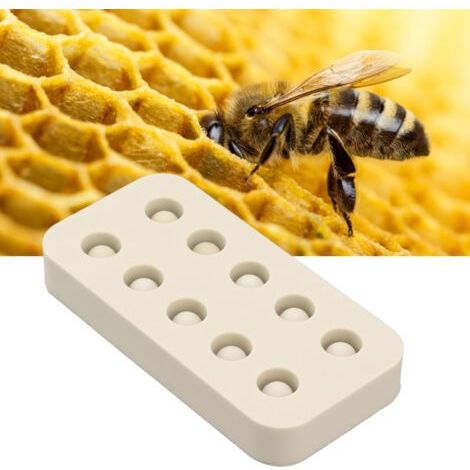 Wax Queen Transplant Cups Beekeeping Silicone Mold Beeswax Queen Cell Cups 2 Rows Making Mold 96 x 48 x 14mm,DUBUNS (1/5)