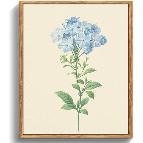 Vintage Botanische Leinwand Druck 30x40 cm mit Holzrahmen - Wandbilder (1/5)