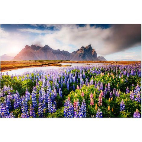 Affiche Champ de lupins - 60x40cm - made in France (1/5)