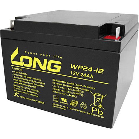 Long WP24-12 Bleiakku 12V 24Ah Schwarz