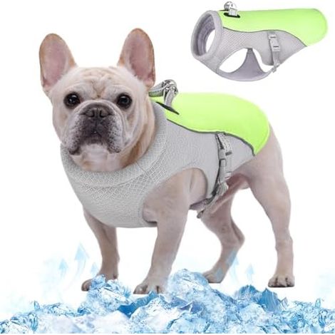 Kuoser Kühlweste pour Hunde, Kühlweste chien pour été avec D-Ring, vert M Hunde Kühlweste pour heiße ététage (1/5)