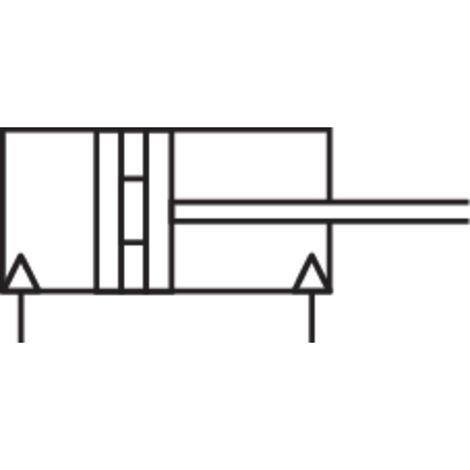 Vérin cylindrique IMI NORGREN RM/8025/M/100 Longueur de course: 100 mm Dimension produit, Ø: 25 mm 1 pc(s) (1/3)