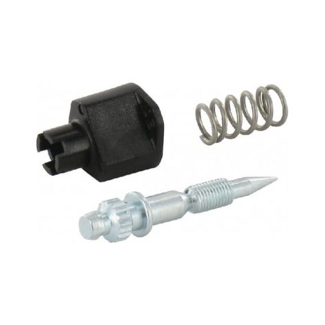 793610 - Kit pointeau ralenti pour Moteur BRIGGS ET STRATTON