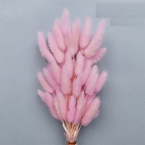 Bouquet de Lagurus Ovatus séchés, véritables fleurs préservées (Setaria Viridis), Lagurus Ovatus en gros pour la décoration intérieure et les accessoi (1/4)