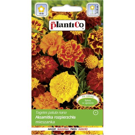 Graines de calendula Platinet 1 g