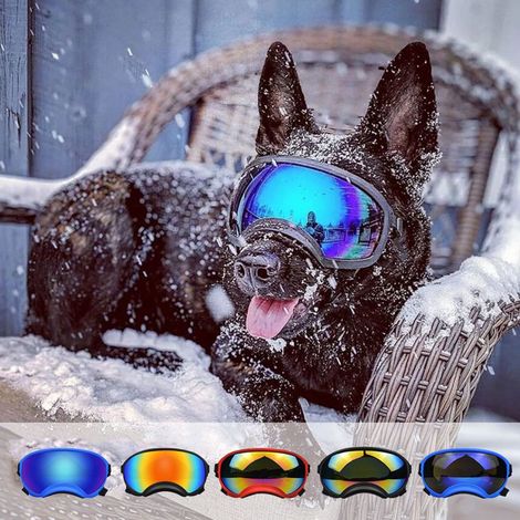 Filiyano-Lunettes de protection réglables pour chiens, lunettes de soleil anti-UV pour animaux de compagnie 2 5 (1/5)