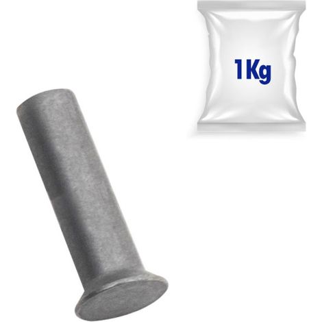 Lot de 1kg de rivets fraisées tête plate Ø 5,2 x22mm