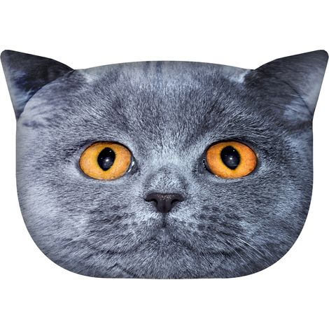 Bertoni Dekokissen „Leon die Katze“ 30×45 cm – Samt, Katzenmotiv, antiallergische Füllung (1/5)