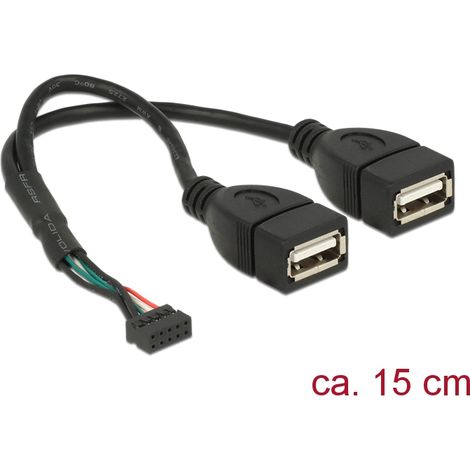 Delock base de conexiones del cable usb 2.0 hembra de 10 contactos 2,00 mm  2 x usb 2.0 tipo-a hembra 20 cm