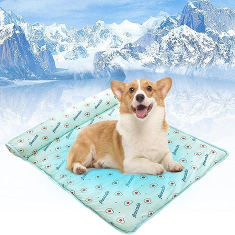 Kühlmatte für Hunde und Katzen mit Kissen, selbstkühlend, waschbar und tragbar, atmungsaktive Sommer-Haustiermatratze, inklusive Kissen, hitzebeständig. (1/4)
