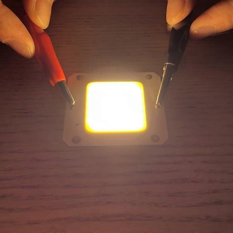 50W 12V COB LED-Pflanzenlampenmodul, warmweißes Vollspektrum 400–840 nm, für Zimmerpflanzen, 10 Stück